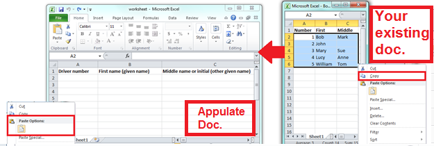 Copy data form your Excel sheet into Appulate